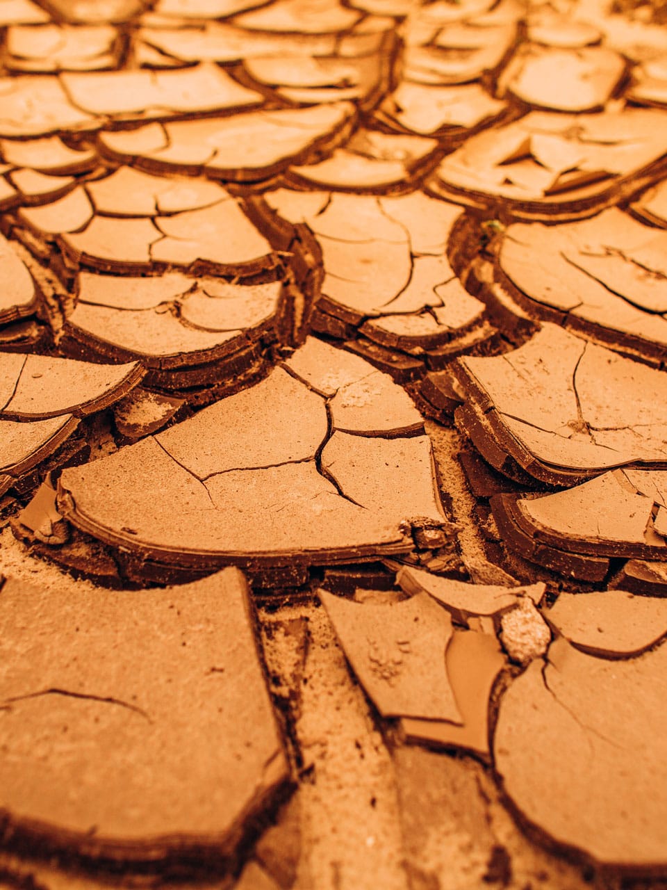 dry cracked ground