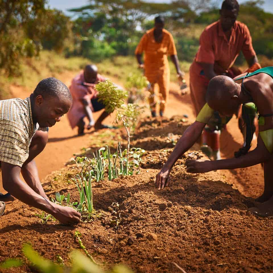 Villagers working together to plant a garden